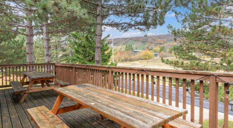 Ample chalet with jacuzzi | Pets are welcome — photo 4