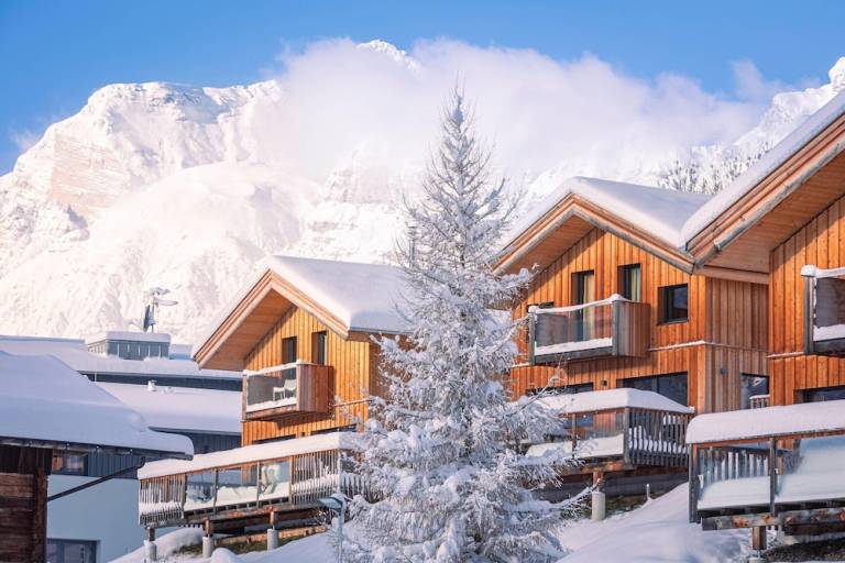 Chalet Trins