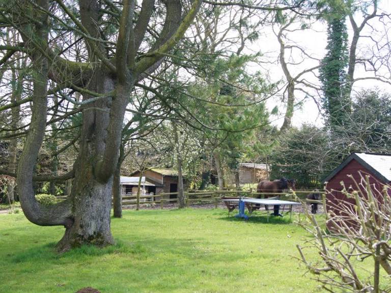 Cottage Le Tilleul