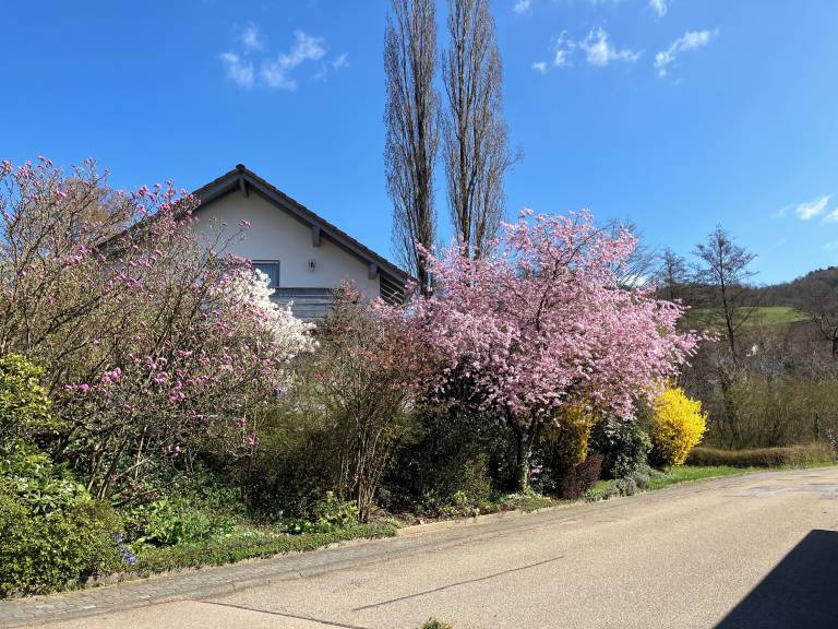 Ferienhaus Eberbach