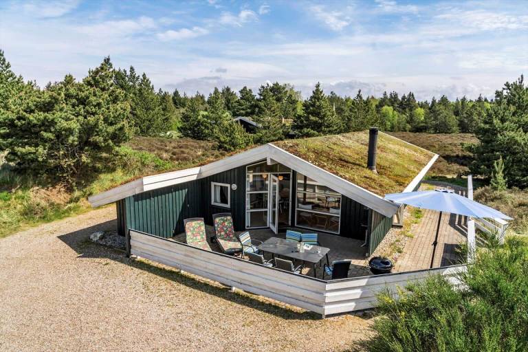 Ferienhaus mit Hund in Bolilmark für max. 6 Gäste