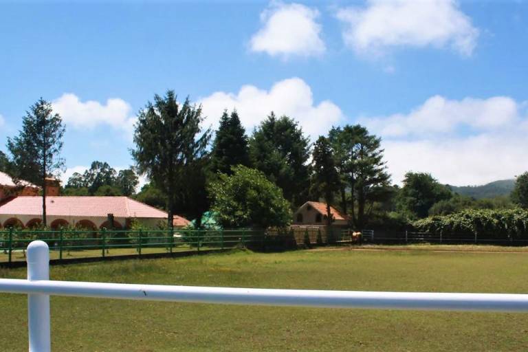 Villa  Narón