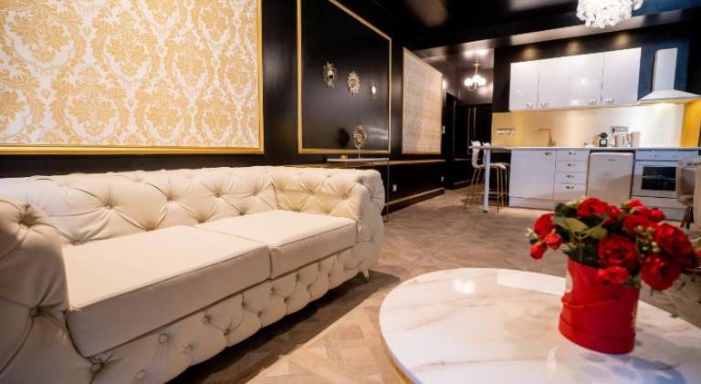 Rental apartment with jacuzzi in Villefranche-sur-Saône