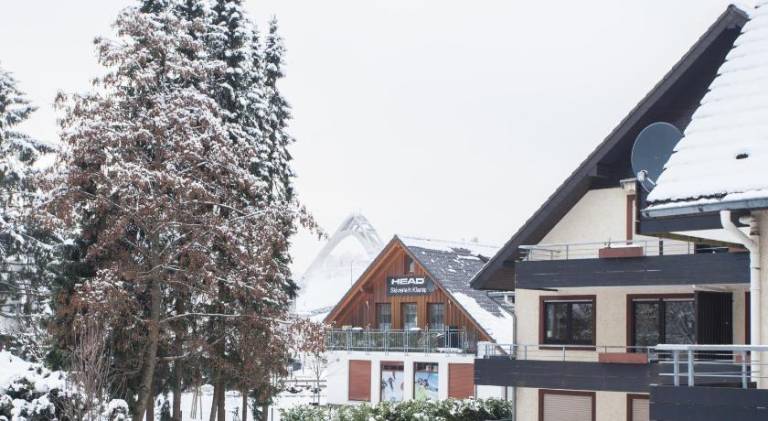 Holiday apartment with patio & private pool | Next to the ski | Pet-friendly — photo 4