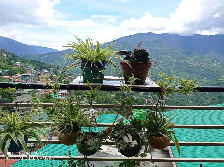 Esses House A Luxury Home Stay — photo 4