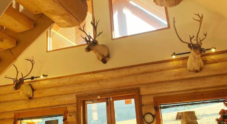 Bear's Claw Lodge — photo 4