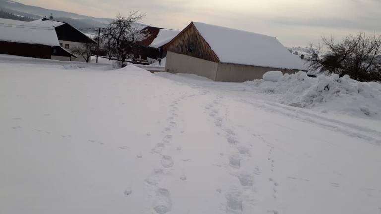 foto41
