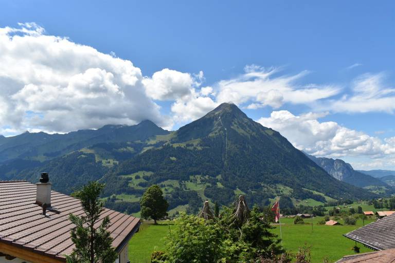 Chalet Niesenblick 3 Zimmerwohnung