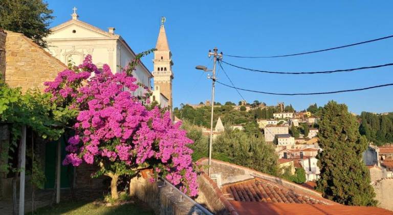 House with hot tub in Piran