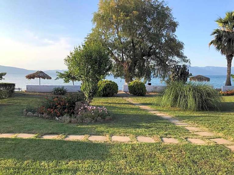 Απαρχοτέλ  Arkitsa
