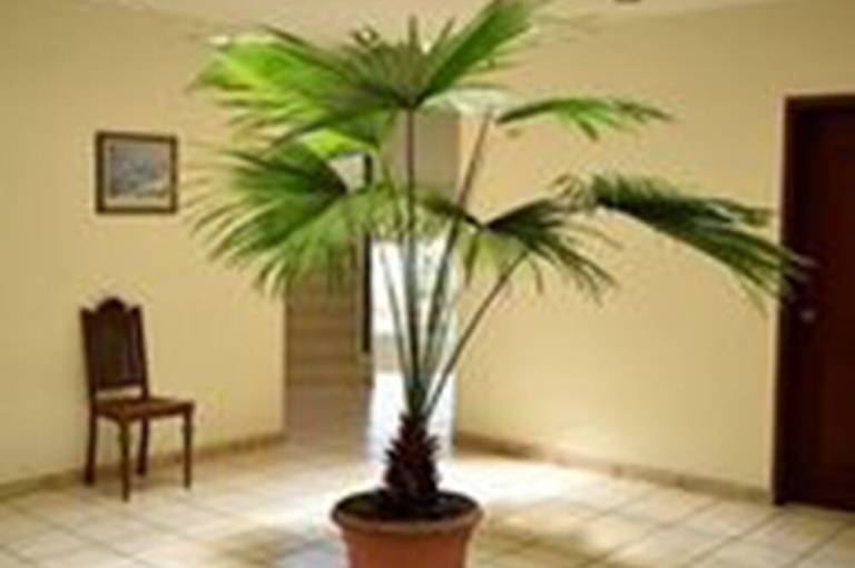 foto10