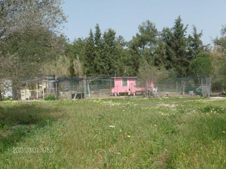 foto10
