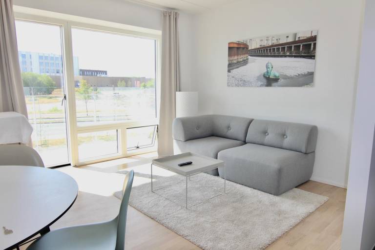 Ferielejlighed Odense C