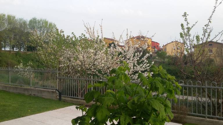 foto13