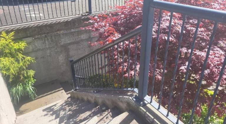 foto48