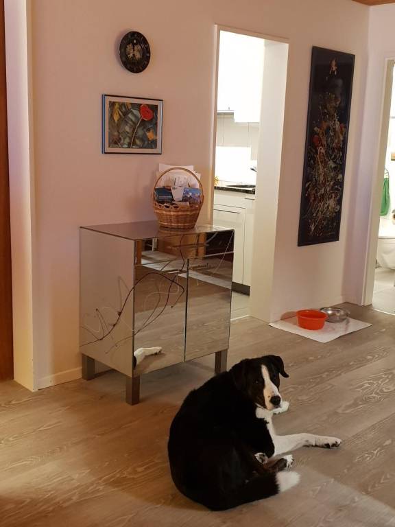 foto7