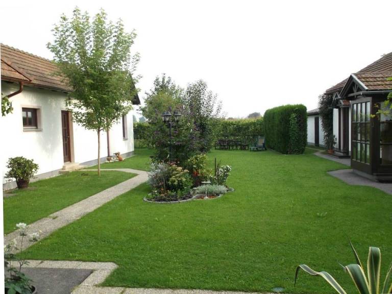 foto8