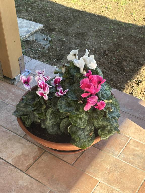 foto8