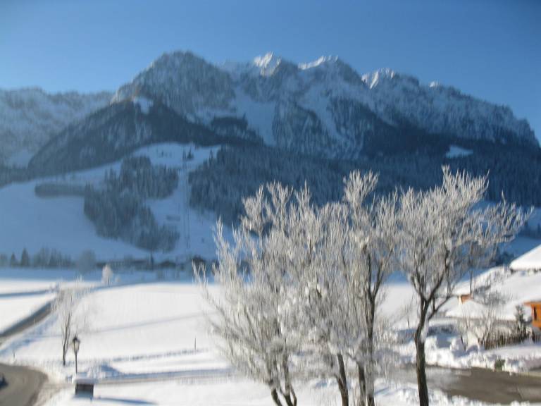 foto3