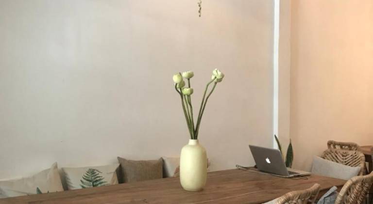 Sacred Lotus Plant-Based Cafe X Homestay — photo 4