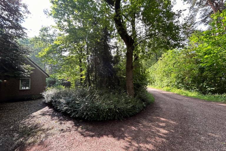 foto29