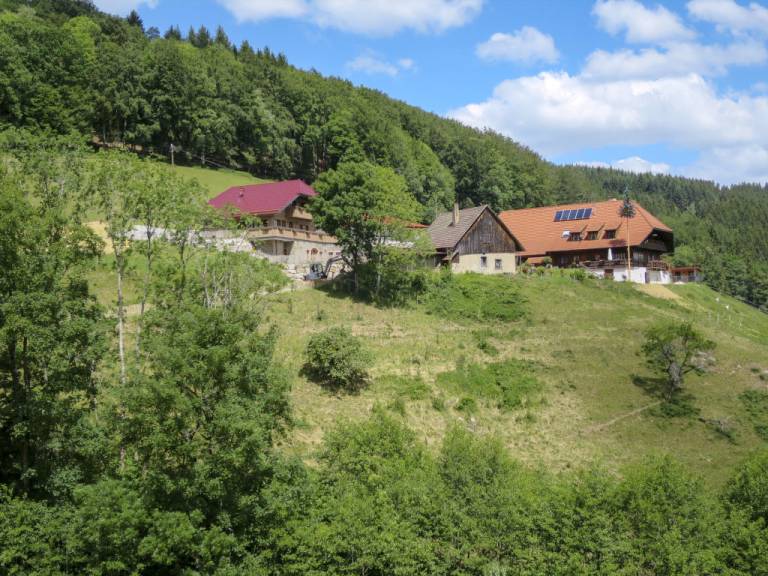 foto24