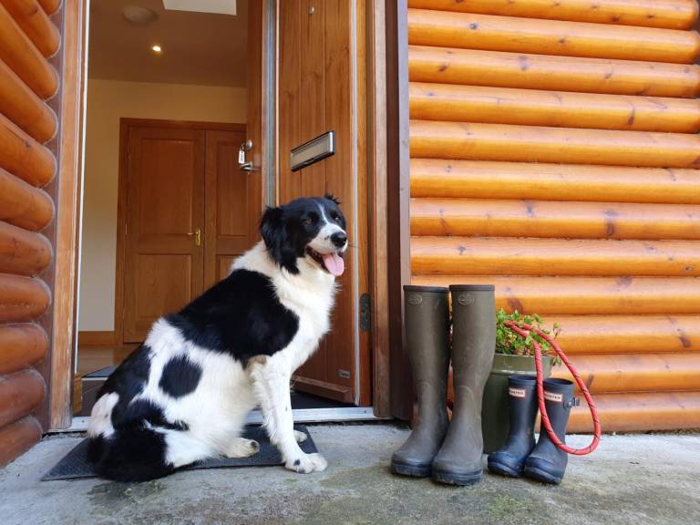 Fully equipped nice cottage with yard & grill | Pets are welcome — photo 2
