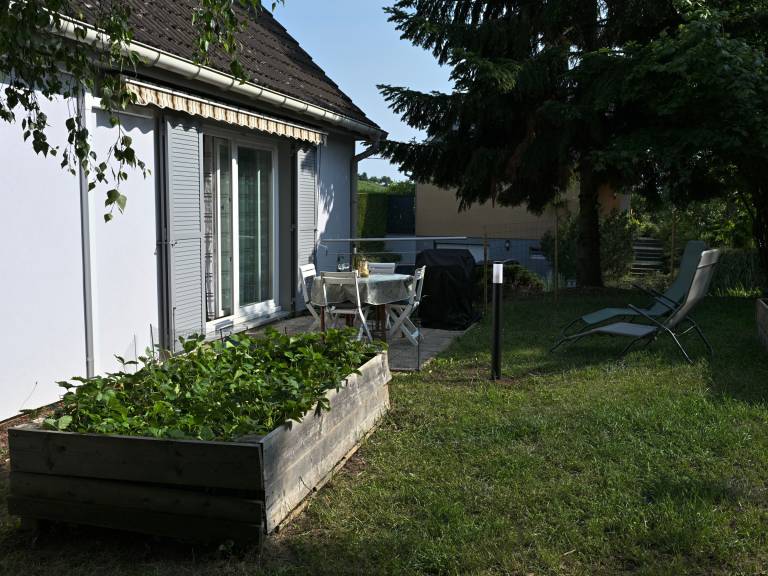 foto31