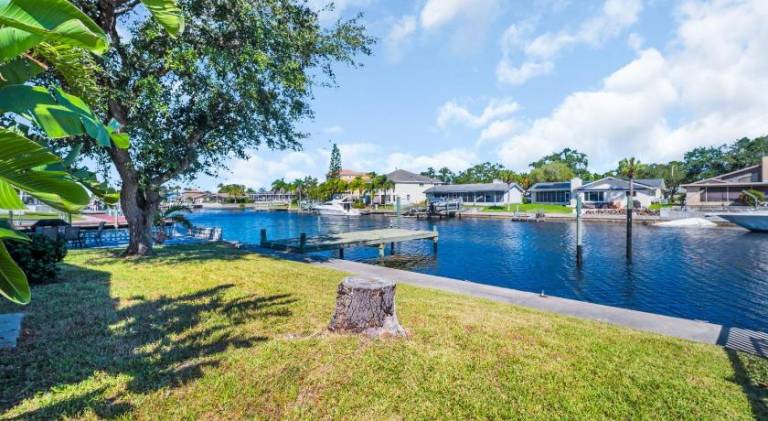 Pleasant vacation home | Suitable for remote work | Pets allowed in New Port Richey, FL