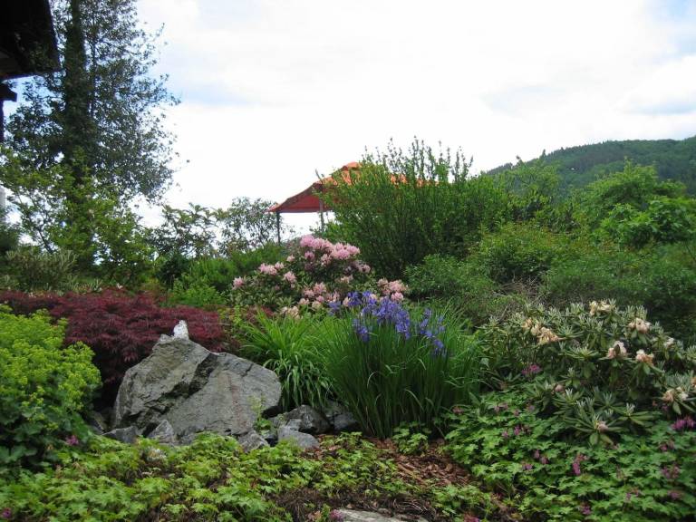 foto15