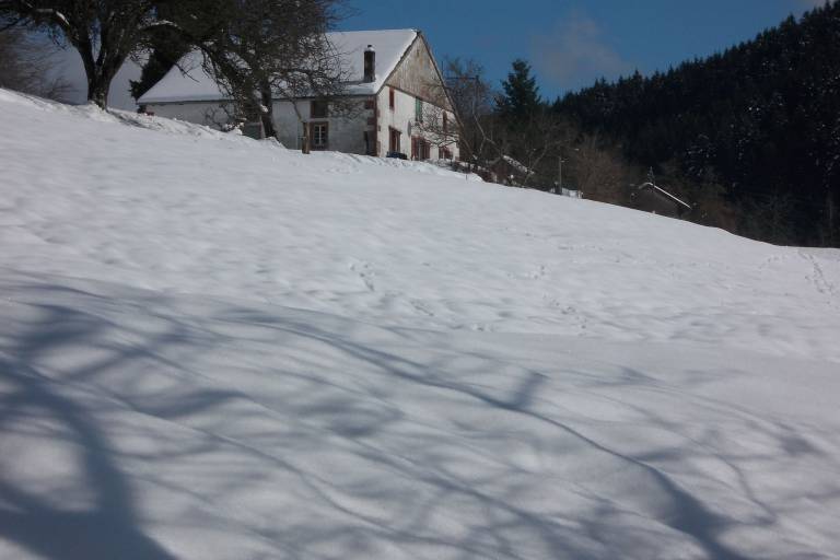foto36