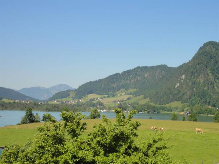 foto17