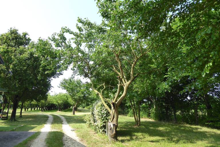 foto15