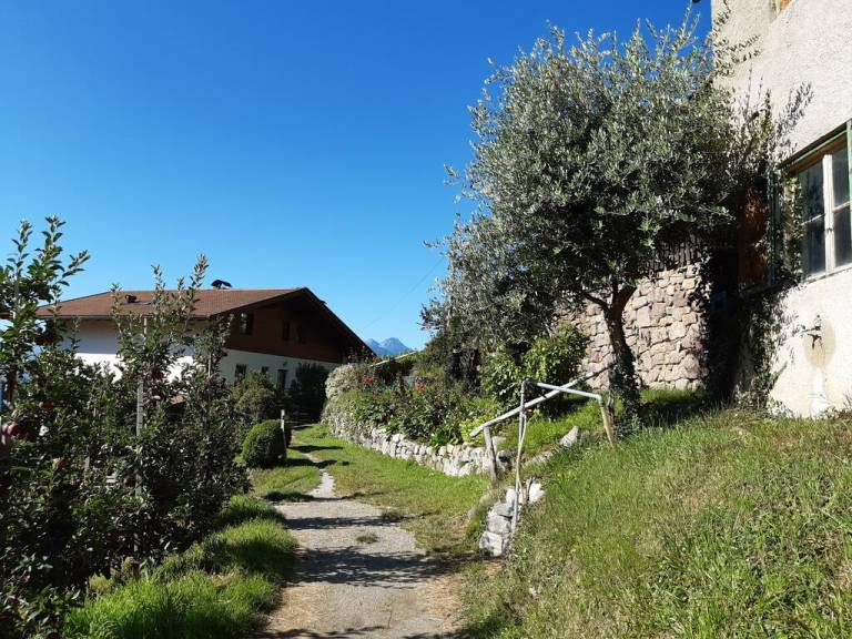 foto28