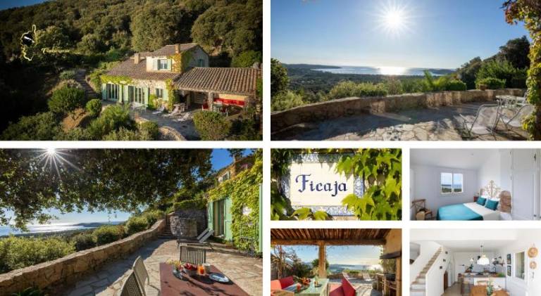 House with hot tub in Zonza