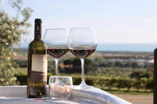 Agriturismo San Vincenzo