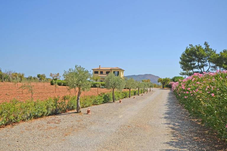 foto6