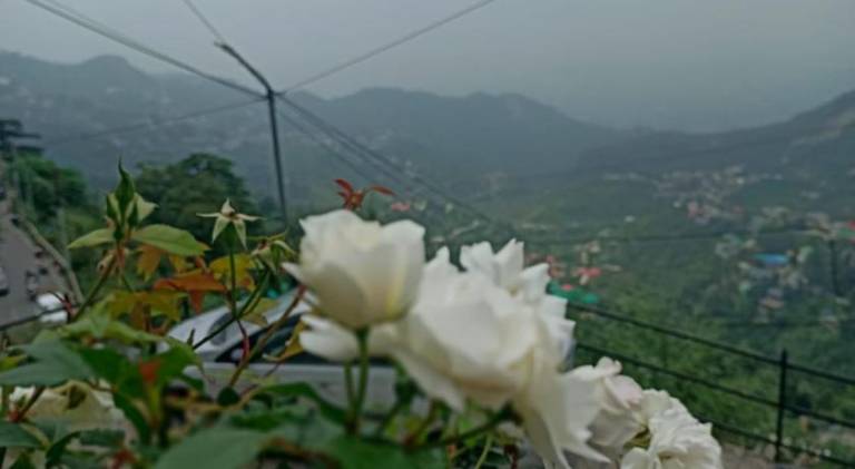 foto13