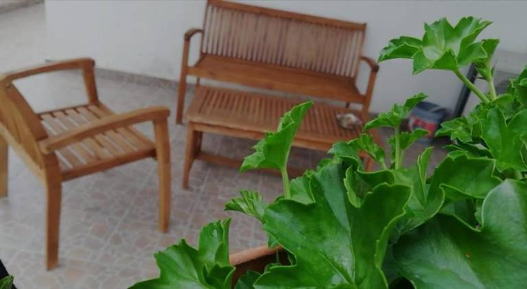 Jenny's House b&b — photo 4