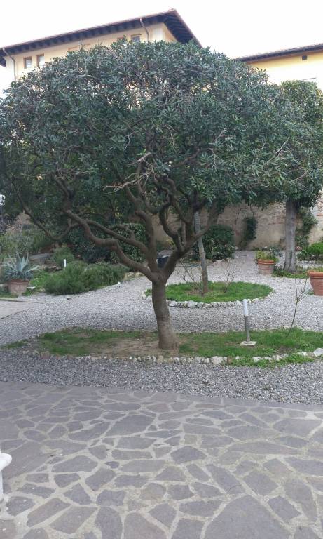 Casa Pisa