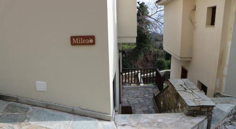 Holiday apartment with patio | Pets are welcome — photo 5