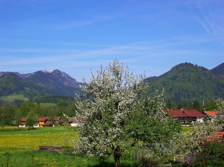 foto9