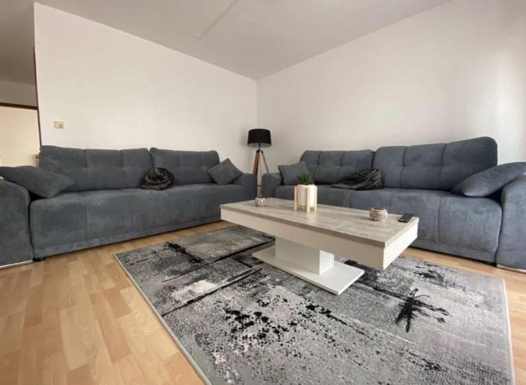 Nice apartment with garden & terrace | Pets are welcome in Meersburg