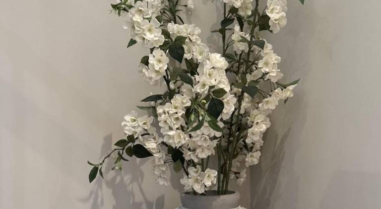 foto22