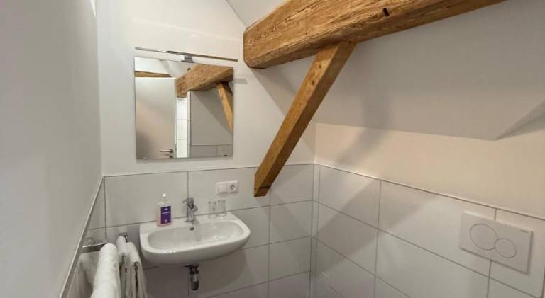 Hotel Pension Lowen nahe Feldkirch - gunstige Zimmer fur Urlauber, Firmen und Monteure — photo 5
