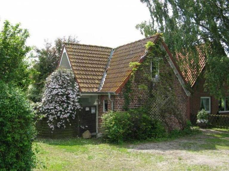 Child-friendly wonderful rental apartment with yard, terrace & barbecue | Garden view | Pets are welcome in Groemitz