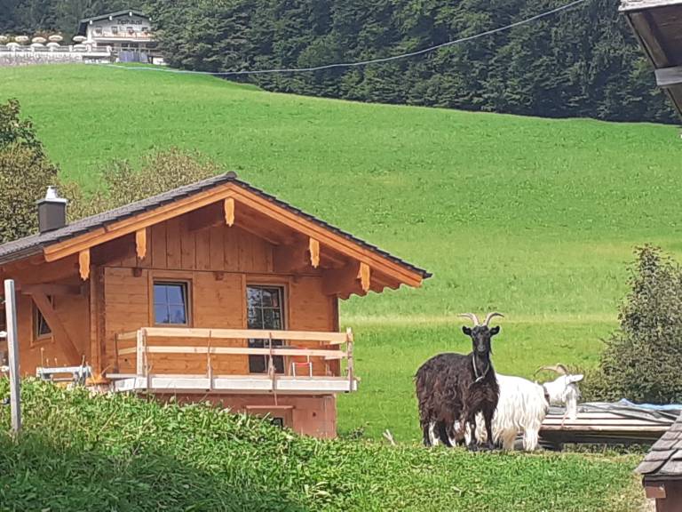 Ferienwohnung  Ramsau bei Berchtesgaden
