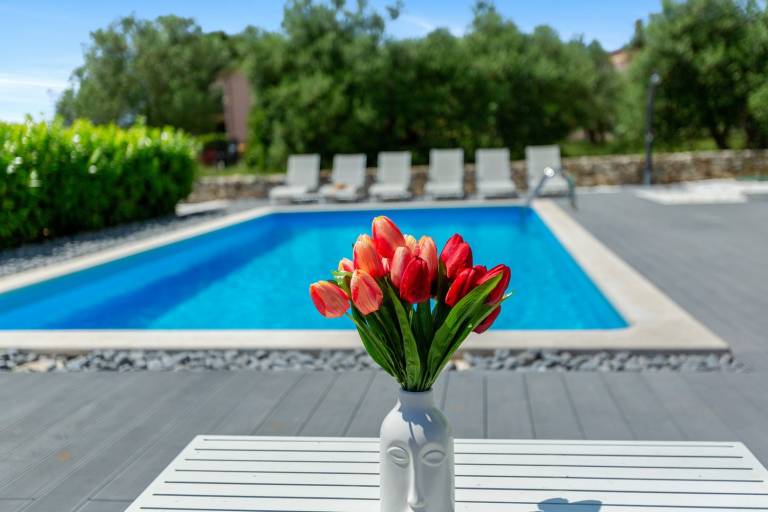 Fully equipped villa with terrace, private pool & garden | Pets allowed — photo 3