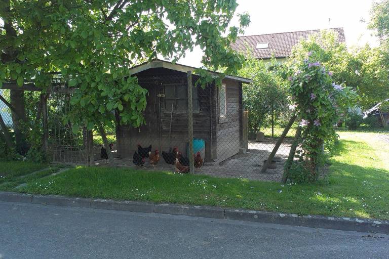 foto15
