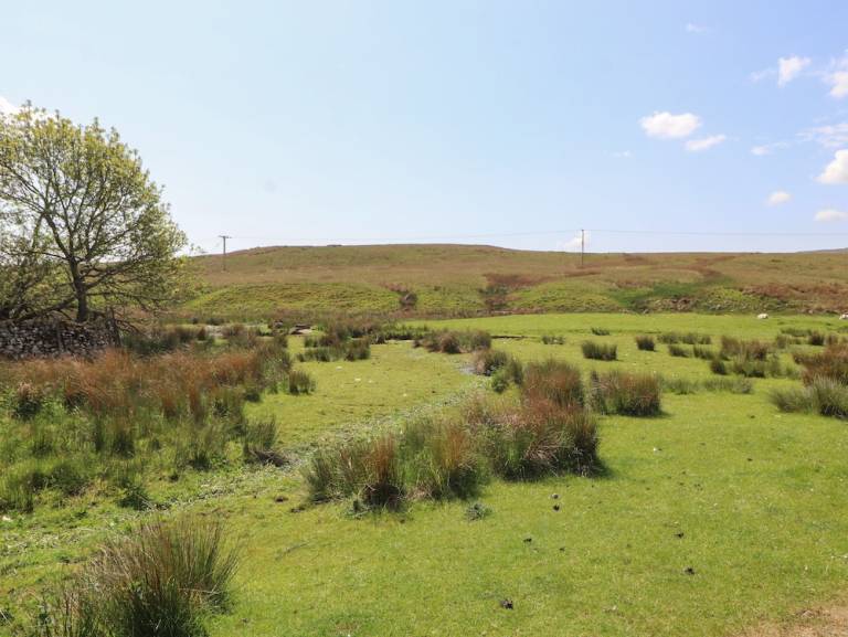 Cottage Shap